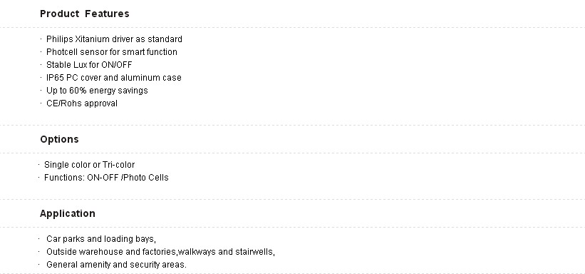 40w LED wall pack light IP65 Wall Mounted